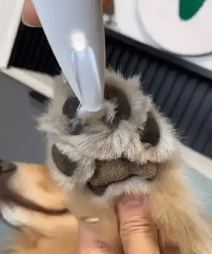 TrimPattes™ | coupe precise pour votre animal de compagnie