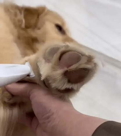 TrimPattes™ | coupe precise pour votre animal de compagnie